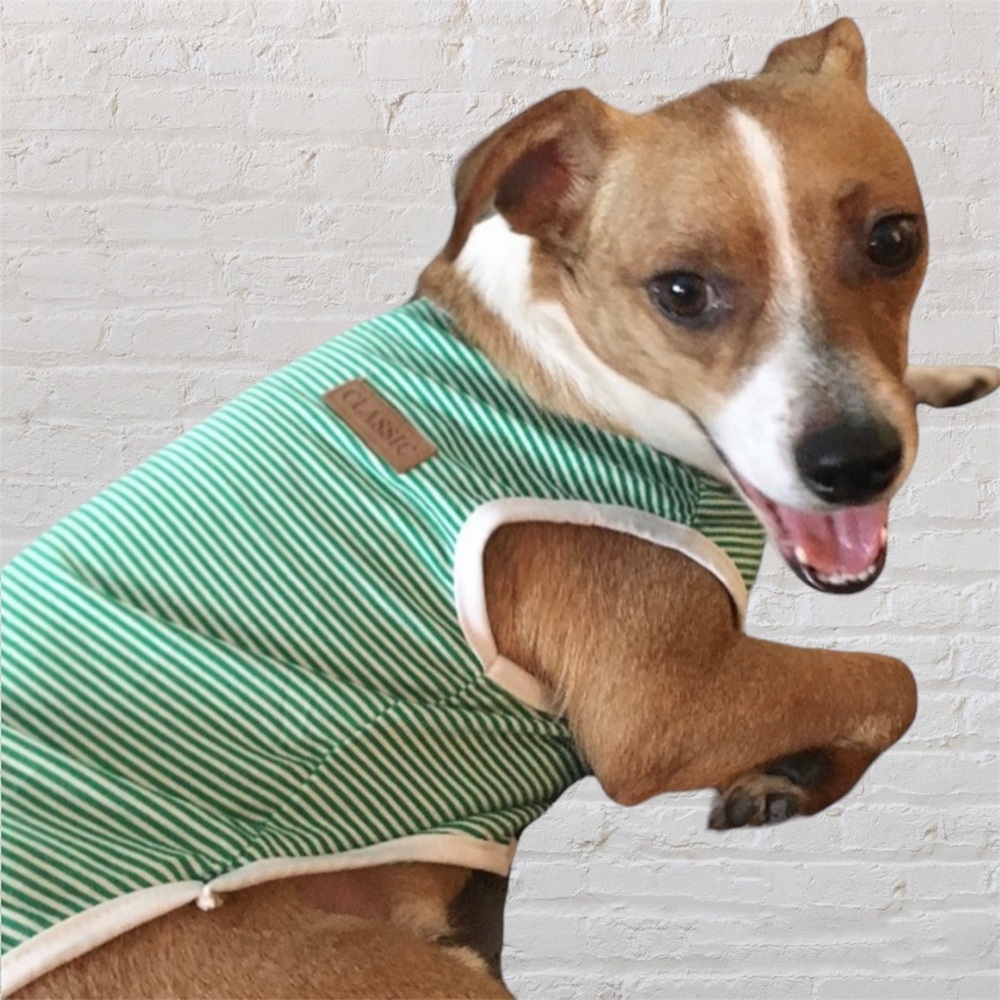 🐶 Classic Preppy Striped Dog Shirt (for small dogs)